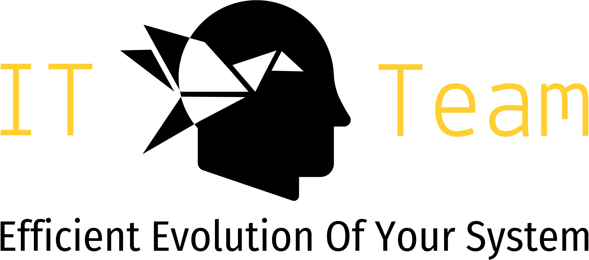 the… IT-Team
